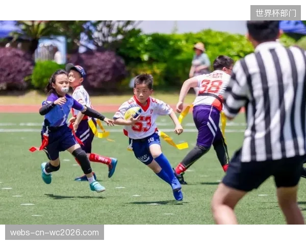 极限运动入奥吸引了大量青少年参与，但为何国内的商业体育保险产品对这些高风险项目的覆盖范围和保障力度仍严重不足？